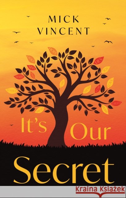It's Our Secret Mick Vincent 9781836285939 Troubador Publishing - książka