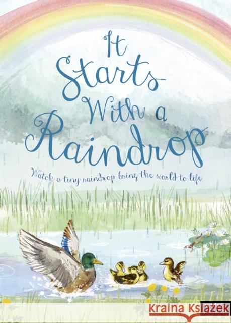 It Starts With A Raindrop Aimee Gallagher 9780711285934 Quarto Publishing PLC - książka