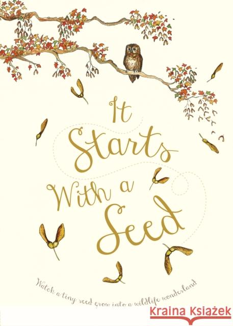 It Starts With A Seed Laura Knowles Jennie Webber  9780711244078 Quarto Publishing PLC - książka