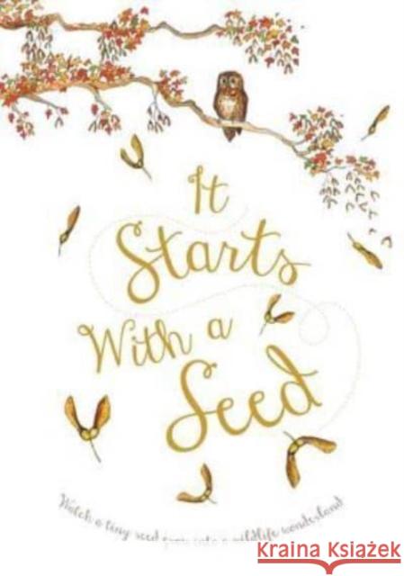 It Starts with a Seed Laura Knowles Jennie Webber 9781910277263 Words & Pictures - książka