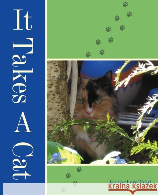 It Takes A Cat Estherschild 9781627873352 Wheatmark - książka