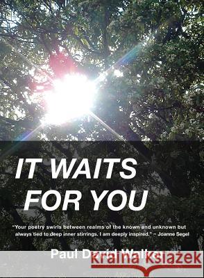 It Waits for You Paul David Walker 9780986158551 Highpoint Executive Publishing - książka