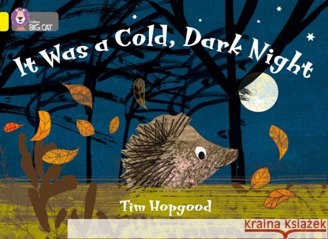 It Was a Cold Dark Night: Band 03/Yellow Hopgood, Tim 9780007329229 HarperCollins Publishers - książka