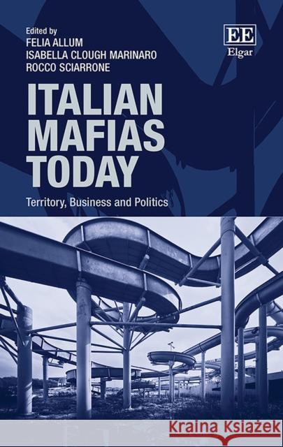 Italian Mafias Today: Territory, Business and Politics Felia Allum Isabella Clough Marinaro Rocco Sciarrone 9781789904130 Edward Elgar Publishing Ltd - książka