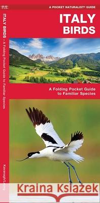 Italy Birds Waterford Press Waterford Press 9781620053461 Waterford Press - książka