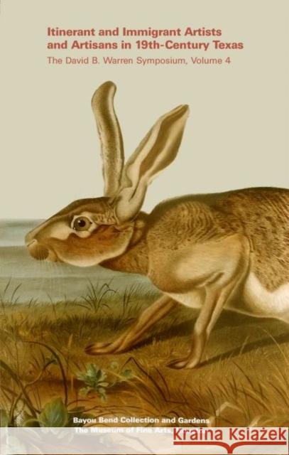 Itinerant and Immigrant Artists and Artisans in 19th-Century Texas Bayou Bend Collection 9780890901809 Museum of Fine Arts (Houston) - książka