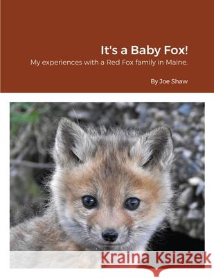 It's a Baby Fox! Joe Shaw 9781716011795 Lulu.com - książka