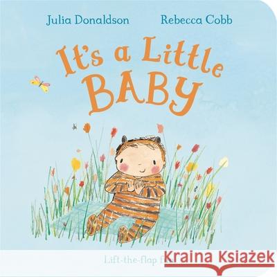 It's a Little Baby Julia Donaldson 9781447251811 Pan Macmillan - książka