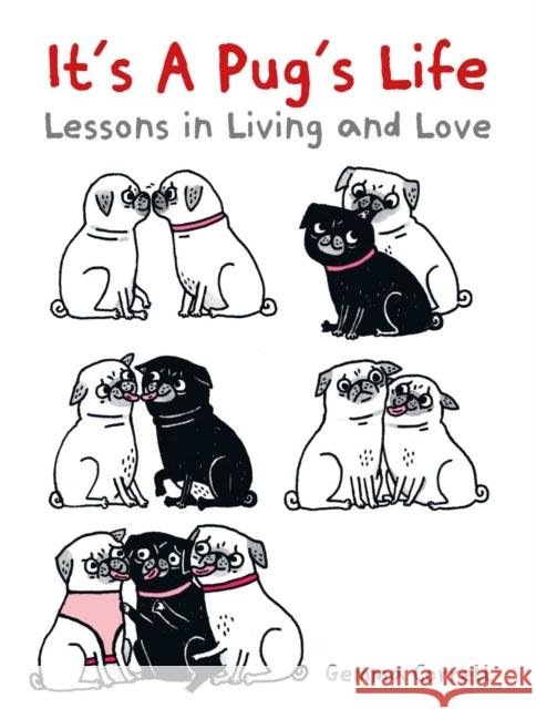 It's a Pug's Life: Lessons in living and love Gemma Correll 9781912983506 Dog N Bone - książka