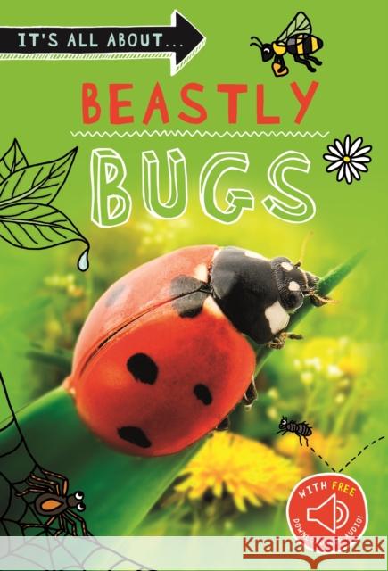 It's all about... Beastly Bugs Kingfisher 9780753446355 Pan Macmillan - książka