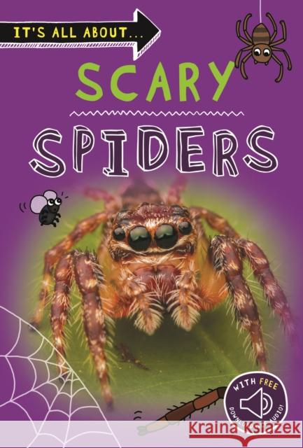 It's All About... Scary Spiders Kingfisher 9780753446645 Pan Macmillan - książka