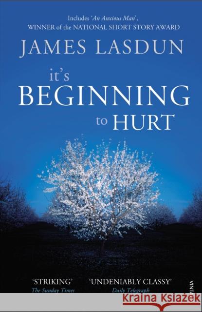 It's Beginning To Hurt James Lasdun 9780099512325  - książka