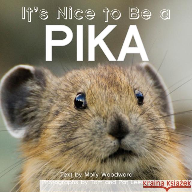 It's Nice to Be a Pika Molly Woodward 9781597143363 Heyday Books - książka