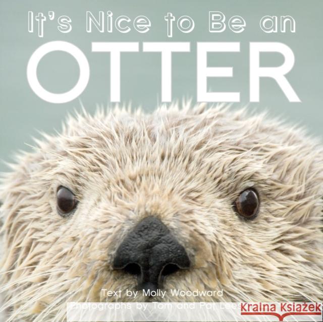 It's Nice to Be an Otter Molly Woodward 9781597143356 Heyday Books - książka