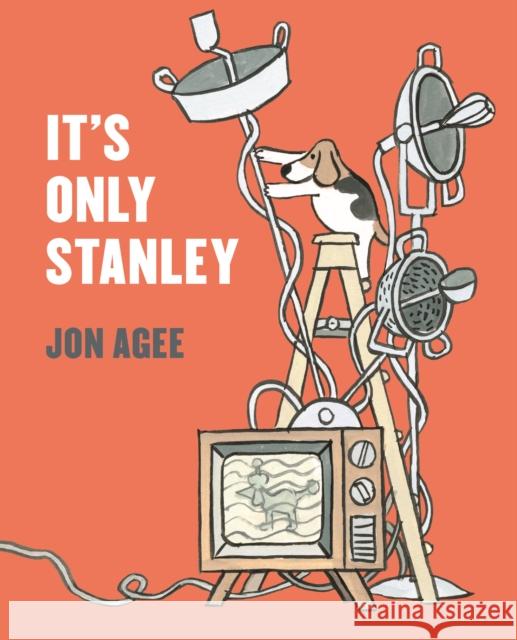 It's Only Stanley Jon Agee 9781912650460 Scallywag Press - książka