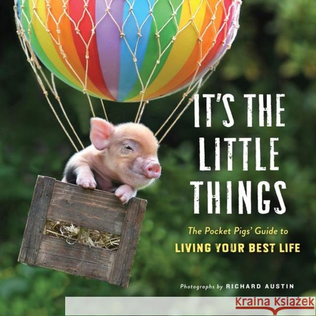 It's the Little Things: The Pocket Pigs' Guide to Living Your Best Life (Inspiration Book, Gift Book, Life Lessons, Mini Pigs) Austin, Richard 9781523508297 Workman Publishing - książka
