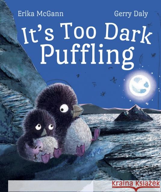 It's Too Dark, Puffling Gerry Daly 9781788493796 O'Brien Press Ltd - książka