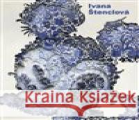 Ivana Stenclová Stenclova, Ivana 9788074373688 KANT - książka