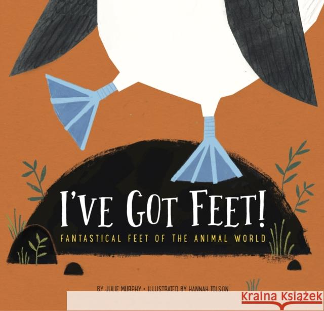 I've Got Feet!: Fantastical Feet of the Animal World Julie Murphy Hannah Tolson 9781681521954 Amicus Ink - książka