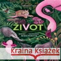 Život Jennifer N. R. Smith 9788027761647 Drobek - książka