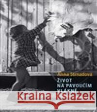 Život na pavoučím vlákně Anna Strnadová 9788025744444 Argo - książka