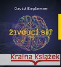 Živoucí síť aneb Jak mozek utváří svět David Eagleman 9788076901063 Dybbuk - książka