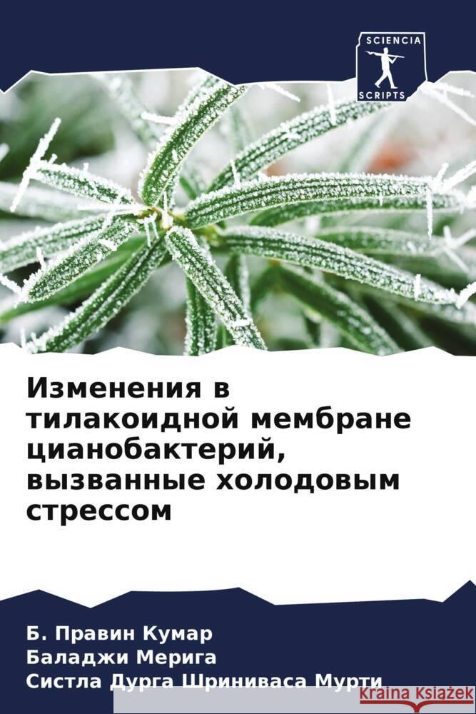 Izmeneniq w tilakoidnoj membrane cianobakterij, wyzwannye holodowym stressom Prawin Kumar, B., Meriga, Baladzhi, Durga Shriniwasa Murti, Sistla 9786204564050 Sciencia Scripts - książka