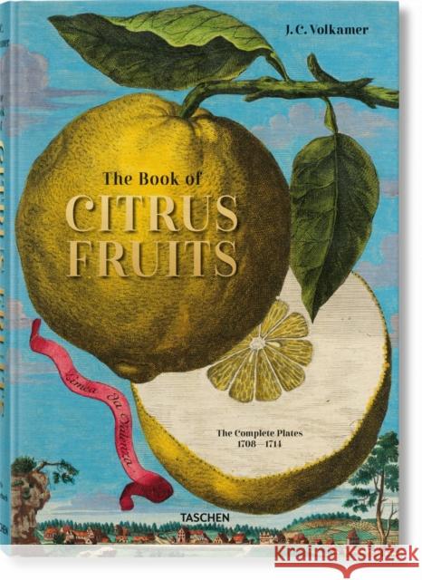 J. C. Volkamer. Citrus Fruits Iris Lauterbach 9783836535250 Taschen GmbH - książka
