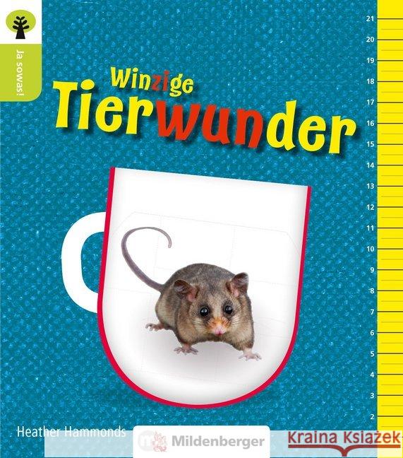 Ja sowas! Winzige Tierwunder Ganeri, Anita 9783619246120 Mildenberger - książka