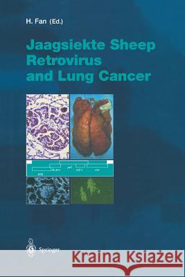 Jaagsiekte Sheep Retrovirus and Lung Cancer Hung Y. Fan 9783642628979 Springer - książka