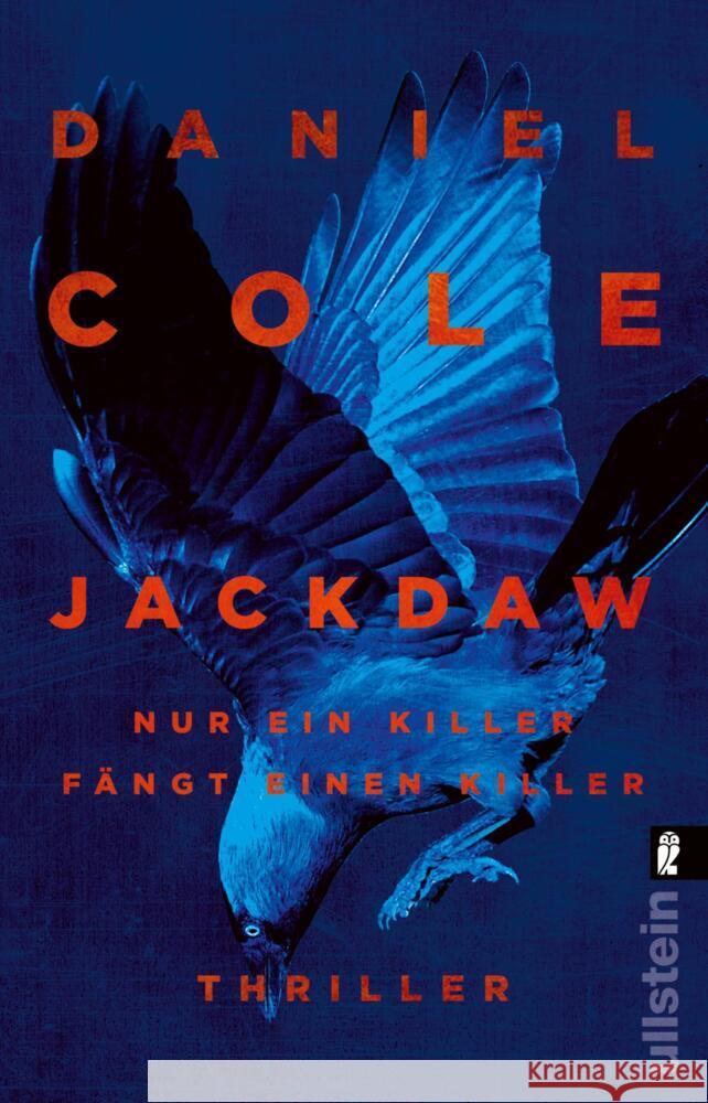 Jackdaw Cole, Daniel 9783548069814 Ullstein TB - książka