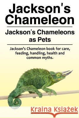 Jackson's Chameleon. Jackson's Chameleons as Pets. Jackson's Chameleon book for care, feeding, handling, health and common myths. Durham, Jonathan 9781788650298 Zoodoo Publishing Jacksons Chameleon - książka