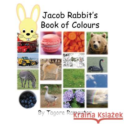 Jacob Rabbit's Book of Colour Tagore Ramoutar 9781907837814 Longshot Ventures Ltd - książka