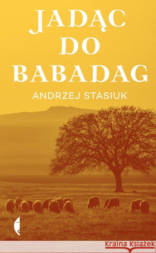 Jadąc do Babadag w.2021 Stasiuk Andrzej 9788381911405 Czarne - książka