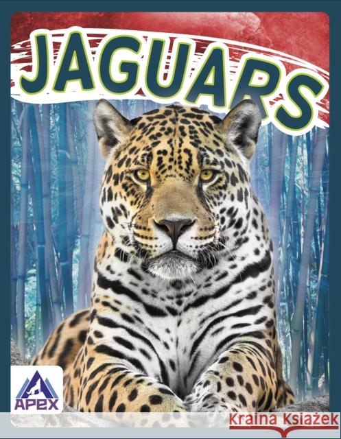 Jaguars Sophie Geister-Jones 9781637380666 Apex / Wea Int'l - książka