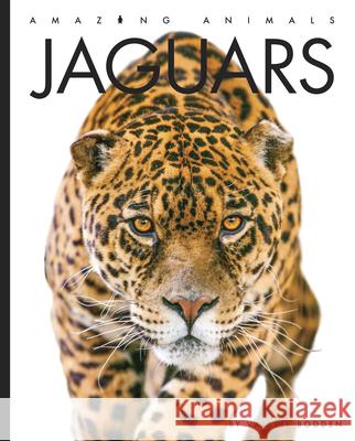 Jaguars Valerie Bodden 9781682771006 Creative Paperbacks - książka