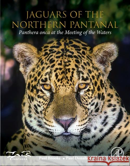 Jaguars of the Northern Pantanal: Panthera Onca at the Meeting of the Waters Paul Brooke Paul Donahue 9780128221389 Academic Press - książka