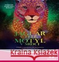 Jaguár v těle, motýl v srdci Ya’Acov Darling Khan 9788075003515 Maitrea - książka