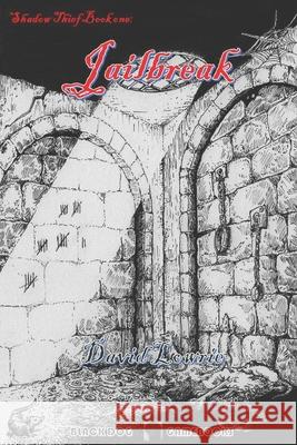 Jailbreak: (Shadow Thief Book One) Lowrie, David 9798618004930 Independently published - książka