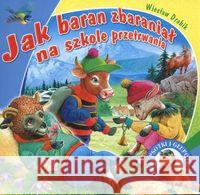 Jak baran zbaraniał na szkole przetrwania Drabik Wiesław 9788374372572 Skrzat - książka