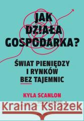 Jak działa gospodarka? Świat pieniędzy i rynków... Kyla Scanlon, Morgan Housel 9788328925984 OnePress / Helion - książka