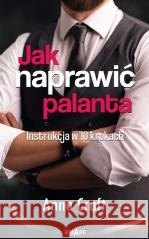 Jak naprawić palanta Anna Craft 9788382195538 Amare - książka