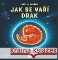 Jak se vaří drak Jakub Cenkl 9788090857810 Václav Dvořák - książka