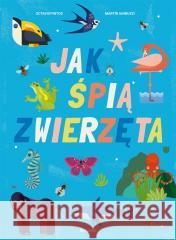 Jak śpią zwierzęta Octavio Pintos, Martin Lannuzzi, Joanna Ostrowska 9788382525236 ToTamto - książka