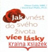 Jak vnést do svého života více lásky David Earl Platts 9788073367442 Fontána - książka