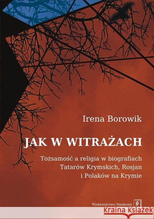 Jak w witrażach Borowik Irena 9788373836754 Scholar - książka