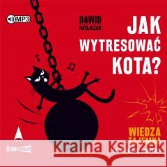 Jak wytresować kota? Wiedza tajemna audiobook Dawid Ratajczak 9788382075250 Storybox - książka