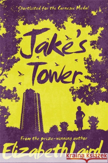 Jake's Tower Laird, Elizabeth 9781509826711 Pan Macmillan - książka