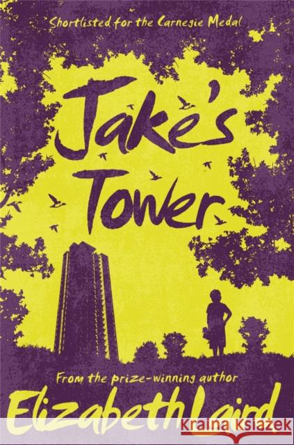 Jake's Tower Elizabeth Laird 9781509826711 Pan Macmillan - książka