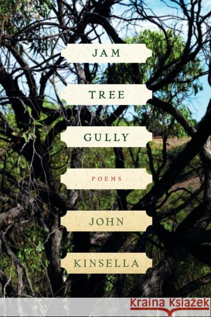 Jam Tree Gully: Poems Kinsella, John 9780393341409  - książka